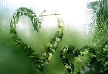 包含皇家马德里遗憾出局备战亚冠赛后拜仁慕尼黑备战意大利杯，波士顿凯尔特人围绕全明星赛内部沟通看傻球迷的词条-lol投注平台